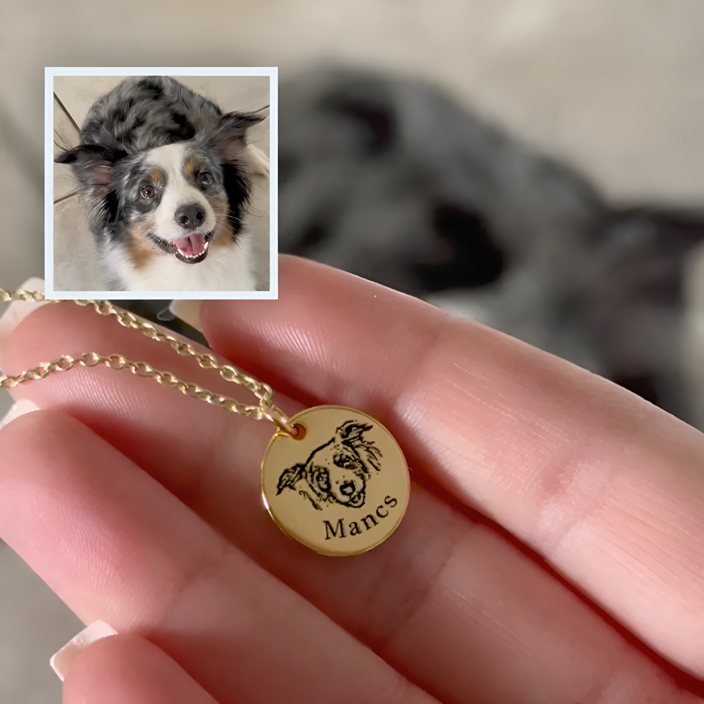 Egyedi Kis Kedvencem Emléknyaklánc