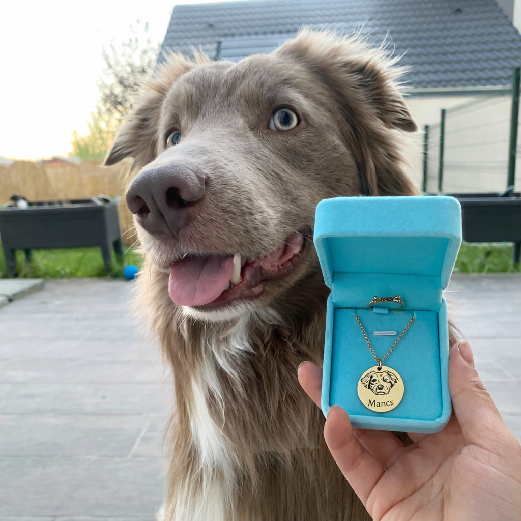 Egyedi Kis Kedvencem Emléknyaklánc